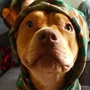 Meet your Posher, Austin